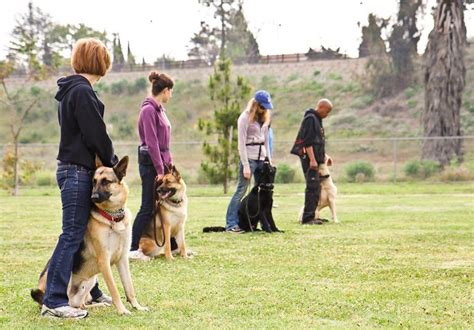 Dog training los angeles. Things To Know About Dog training los angeles. 